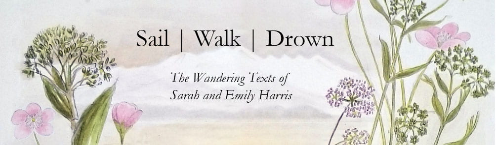Sail Walk Drown The Wandering Texts of Sarah and Emily Harris banner: clouds and pink flowers composite of drawings by Emily C Harris