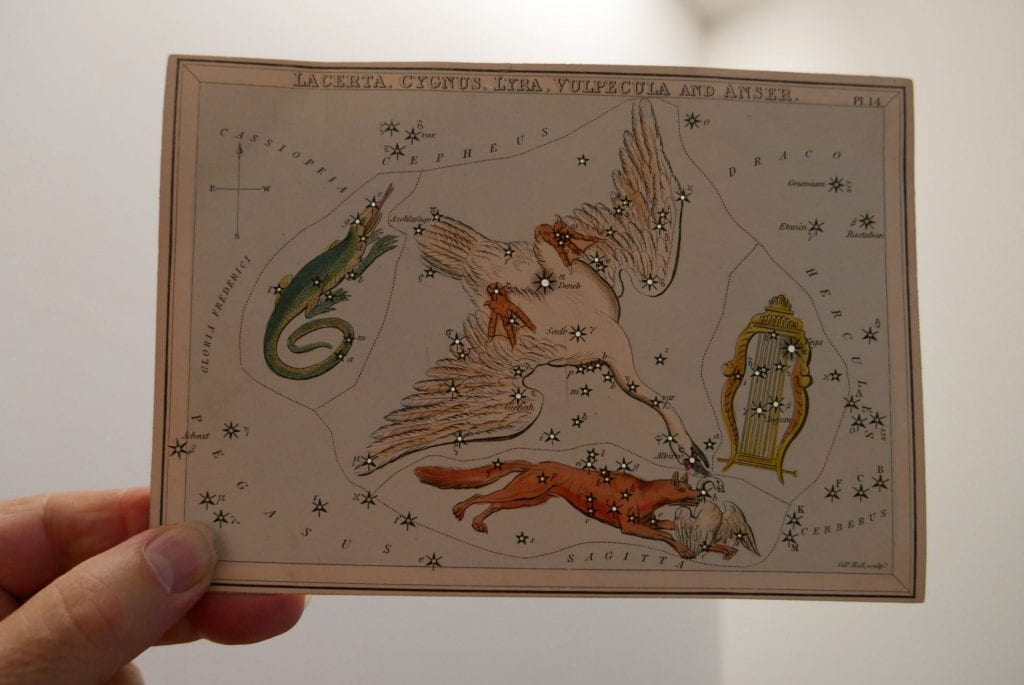 Photo of card Lacerta, Cygnus, Lyra, Vulpecula and Anser