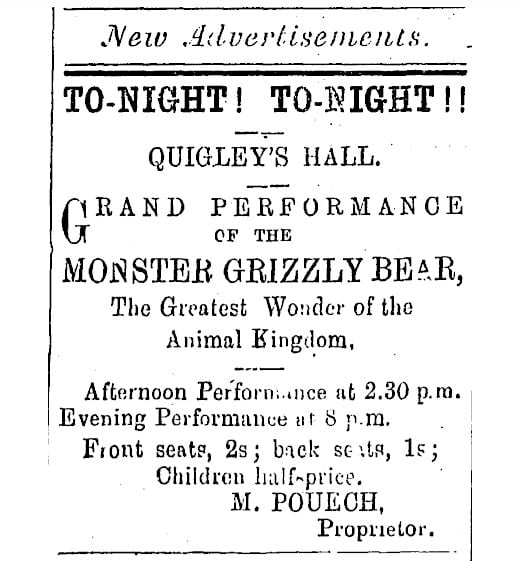 newspaper ad for bear performance
