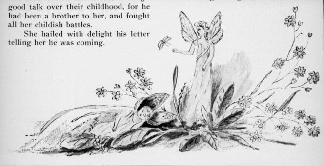 Shows two fairies, one asleep beneath a daisy plant.
