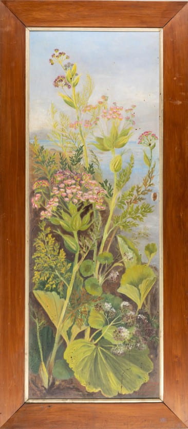 Large rectangular oil painting panel of several sub-antarctic plants with flowers, set against blue sky and body of water in the background