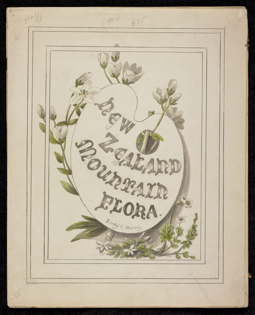 Shows title written on artist's palette, and surrounded by three types of native alpine flower. The gentian is coloured with a watercolour wash.