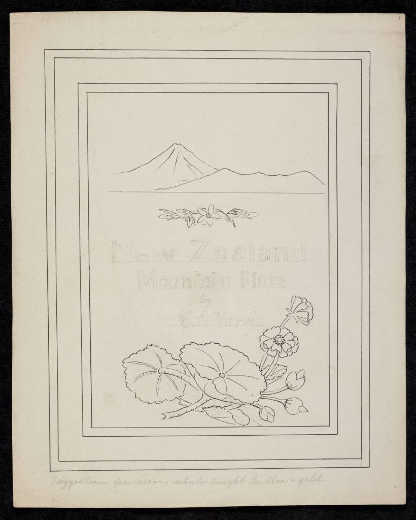 An uncoloured ink sketch of alpine ranunculus at bottom, beneath title, and mountains (including Mt Taranaki) at top with gentian sprig beneath them. Book title and author's name in pencil. 