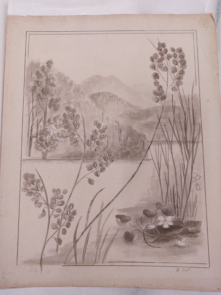 Uncoloured Ink and wash drawing. Sketch depicts some plants growing in the foreground, with a lake and hills in the background. The artist has written the words ‘View on Dun Mountain Line, Nelson.’ in pencil along the edge of the lake