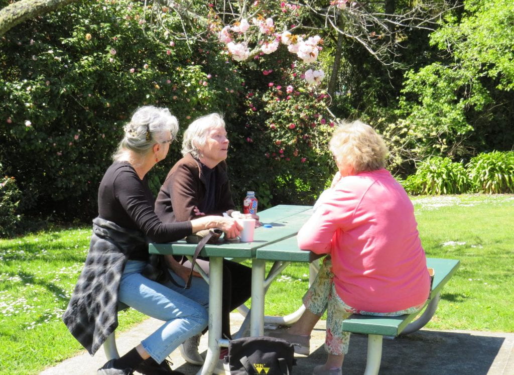 Susan Davis, Michele Leggott and Mary Gavin sitting under a cherry blossom tree in flower, in the grounds of the Isel Park Research Facility